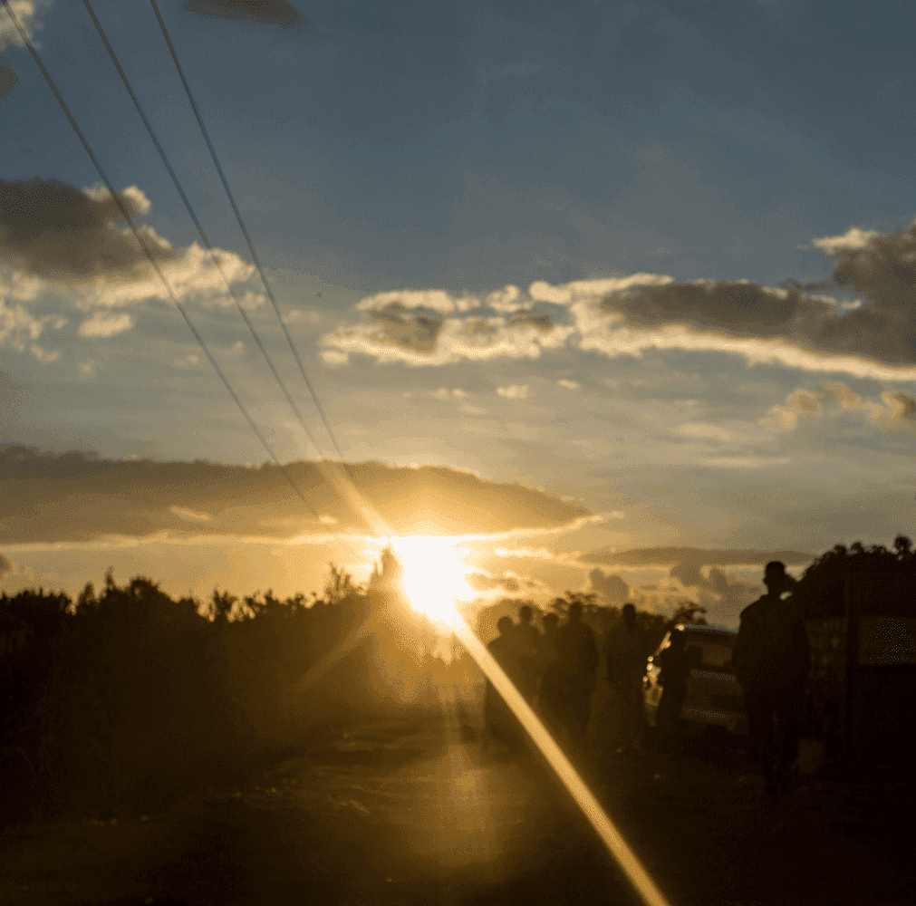 Avert.info Team pictures (1011 × 1000px).png